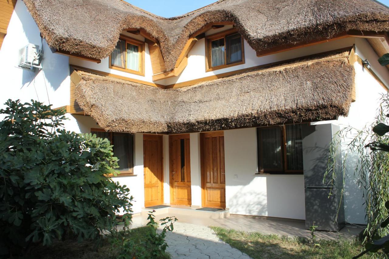 Hotel Cerdacul Cu Stuf Sfântu Gheorghe Exteriér fotografie