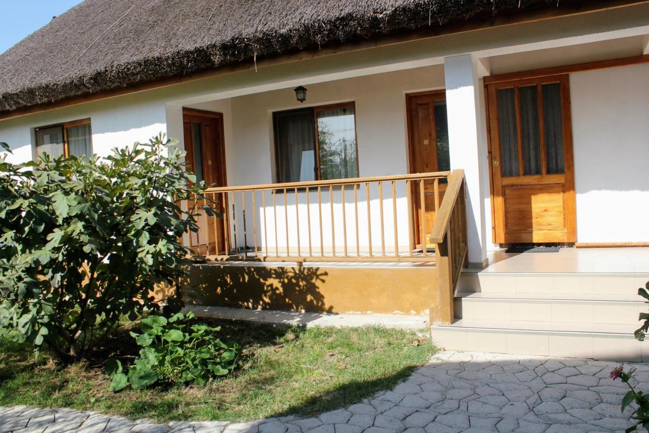 Hotel Cerdacul Cu Stuf Sfântu Gheorghe Exteriér fotografie