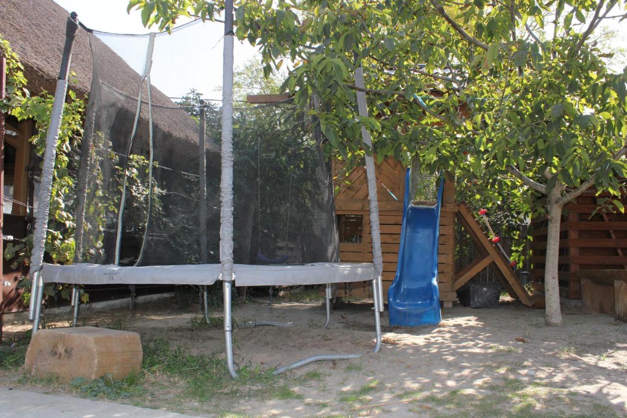 Hotel Cerdacul Cu Stuf Sfântu Gheorghe Exteriér fotografie