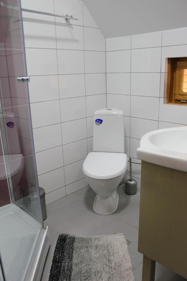 Hotel Cerdacul Cu Stuf Sfântu Gheorghe Exteriér fotografie
