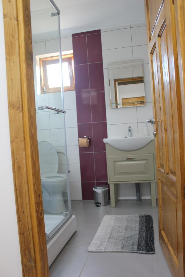 Hotel Cerdacul Cu Stuf Sfântu Gheorghe Exteriér fotografie
