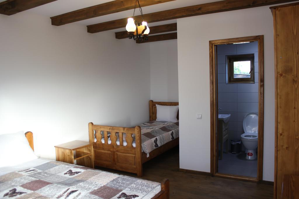 Hotel Cerdacul Cu Stuf Sfântu Gheorghe Exteriér fotografie